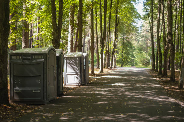 Types of Portable Toilets We Offer in South Holland, IL